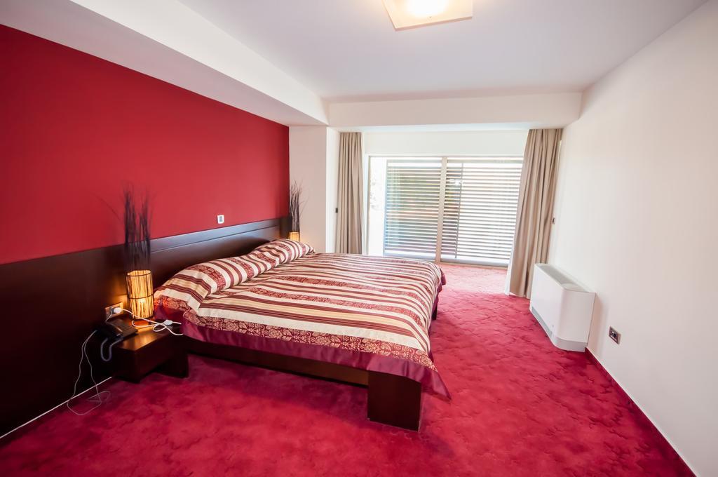 Hotel Maxim Bozava Room photo